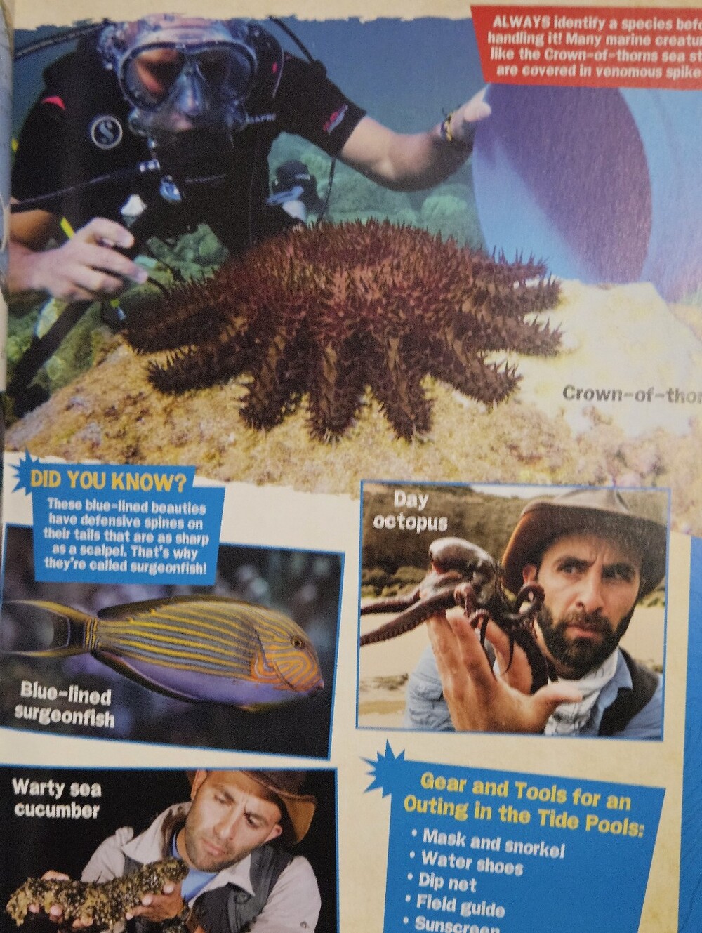 Childrens Books - Picture 10 of 10